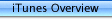 iTunes Overview
