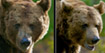 Compare and Select