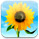 Photo Stream