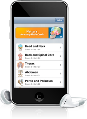 iPod Touch