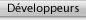 Developer