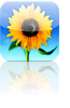 Ic&ocirc;ne de l'application Galerie galerie