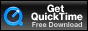 Get the QuickTime plugin.