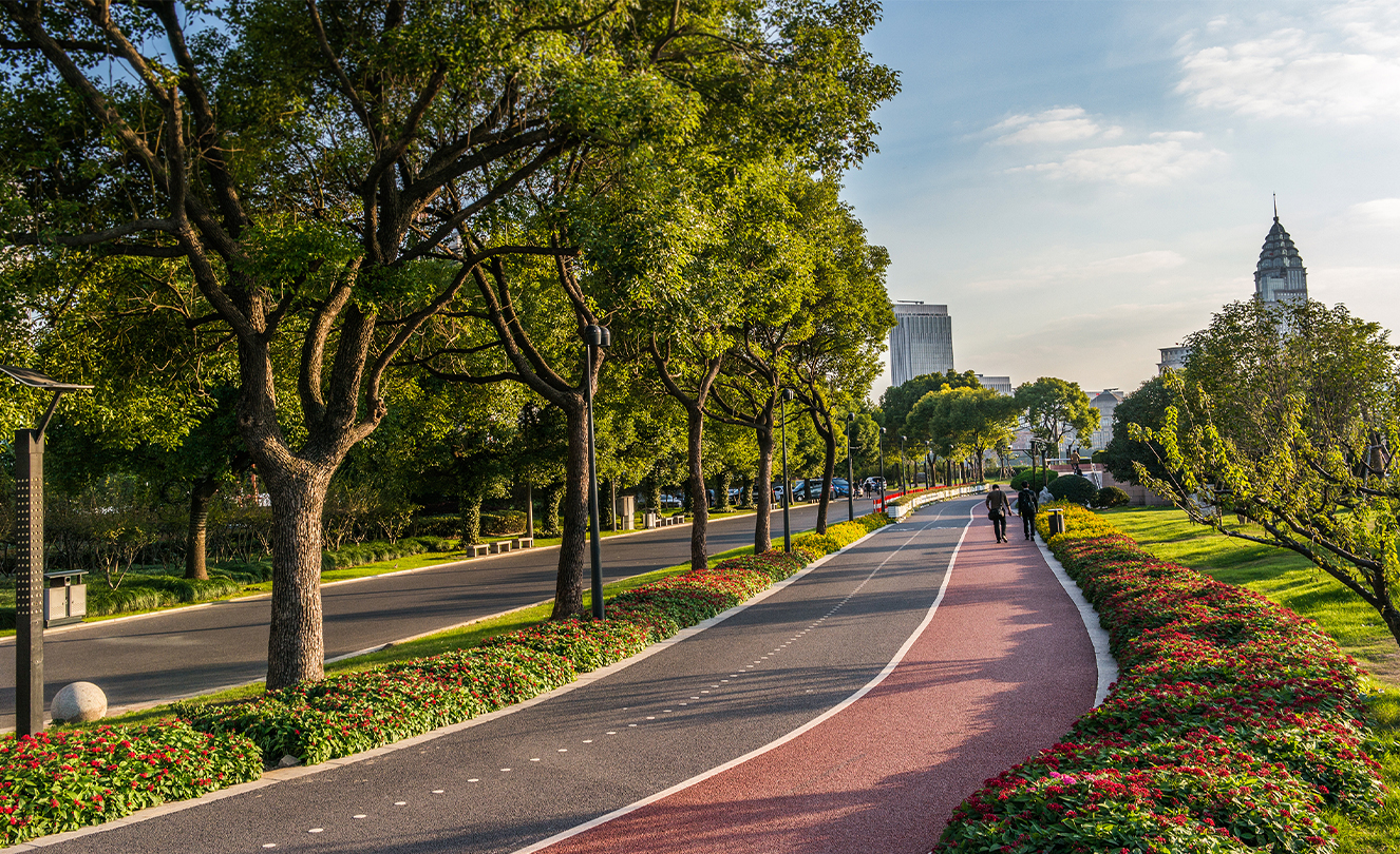 Un carril bici y una acera flanqueados de árboles y plantas en Shanghái.