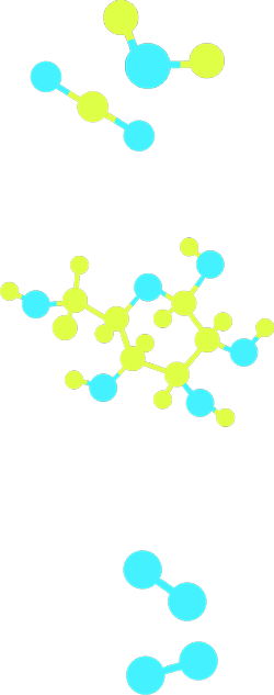  다섯 가지 분자 모형, 각각은 이산화탄소, 물, 포도당과 산소(두 개)를 나타냄.