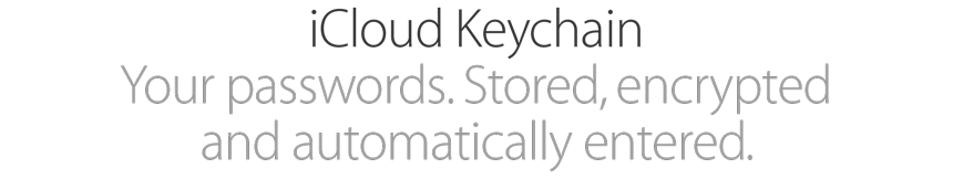 iCloud Keychain. Your passwords. Stored, encrypted and automatically entered.