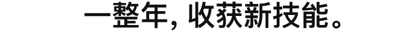 一整年，收获新技能。