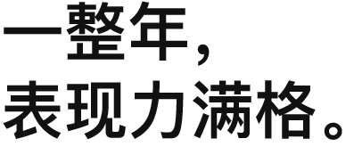 一整年，表现力满格。