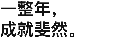 一整年，成就斐然。