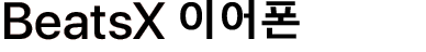 BeatsX 이어폰