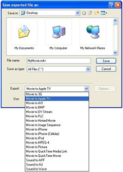 QT export