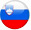 Slovenian Flag