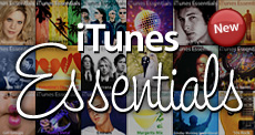011105_iTunesEssentials