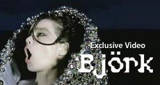 101904_Bjork