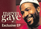 110204_Marvin_Gaye