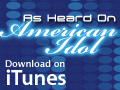 American_Idol-120x90
