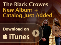 Apple iTunes