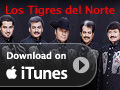 Apple iTunes