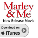 Apple iTunes