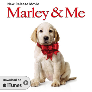Apple iTunes
