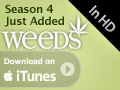 Apple iTunes
