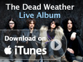 Apple iTunes