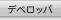 Developer