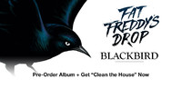 Blackbird