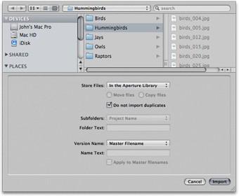 Import Dialog
