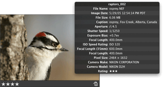 Image and HUD