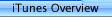 iTunes Overview