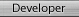Developer