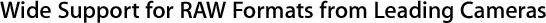 廣泛支援主要數位相機的 RAW 格式