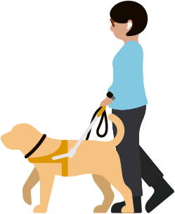 Image d’une femme malvoyante portant des AirPods et marchant avec un chien d’assistance