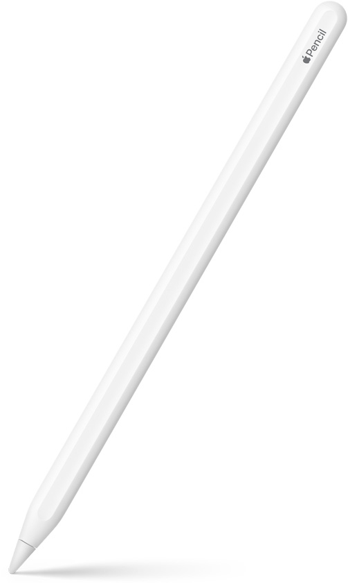 Apple Pencil 2nd generation, upright at an angle with the tip pointing down. The top of Apple Pencil 2nd generation is curved and shows an Apple logo and name of the product. A shadow effect is shown at the bottom.