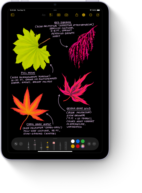Aplikacija Bilješke na iPadu mini