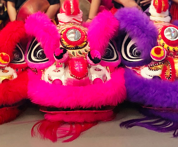 Fotka čínského tanečního kostýmu lva.