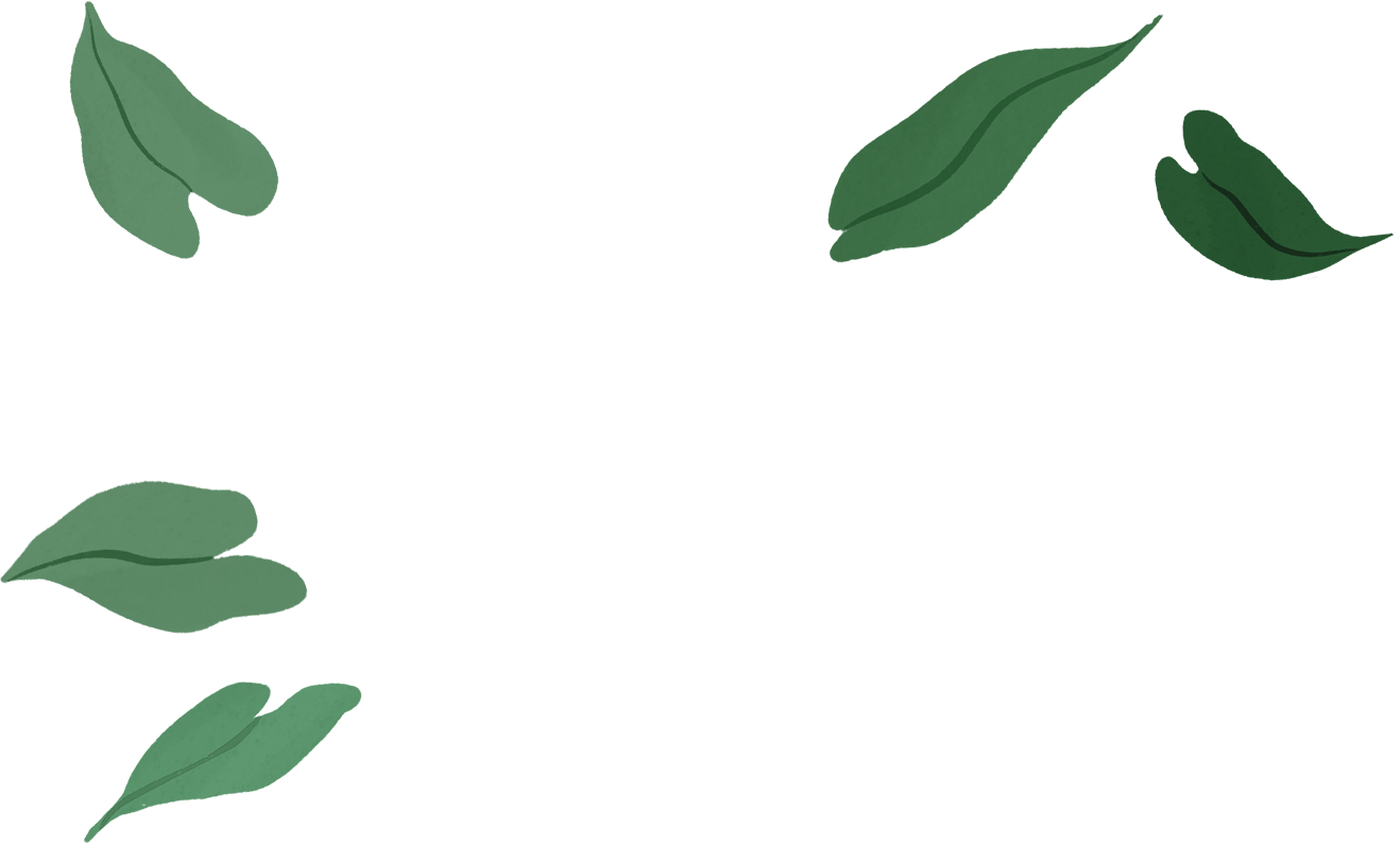 Obok tego samego portretu pojawia się rysunek obudowy MacBooka Air; z jego ekranu wyfruwają zielone liście.