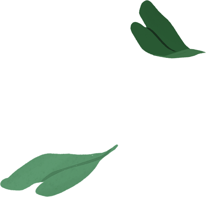 Au portrait s’ajoute l’illustration d’un MacBook Air avec des feuilles vertes sortant de l’écran.