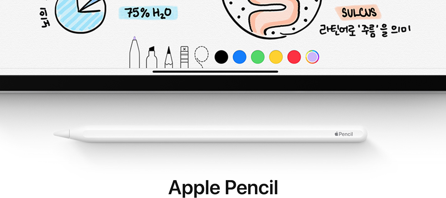 Apple Pencil