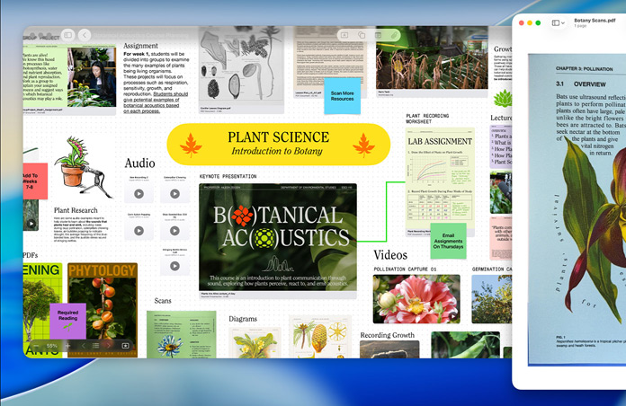 A plant science Freeform board on Mac, organised with audio, videos and research, alongside a Preview window of a PDF, demonstrating easy productivity