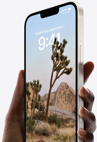 Tangan memegang iPhone 14 berwarna Starlight dengan Layar Terkunci yang dipersonalisasi serta memperlihatkan waktu dan pohon di gurun