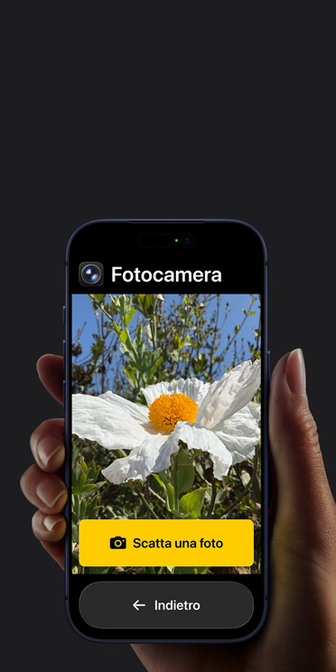 Schermata di iPhone 17 Pro che mostra l’interfaccia semplificata dell’app Fotocamera con un fiore nella cornice, il pulsante “Scatta una foto” e il pulsante “Indietro” in basso
