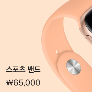 스포츠 밴드 ₩65,000