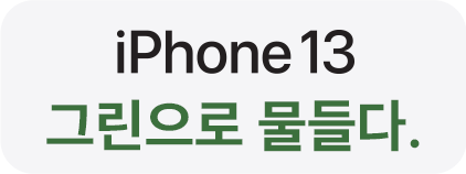 iPhone 13 그린으로 물들다.