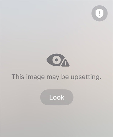 Auto-generated message to parent about the sensitive and unsafe content their child may be viewing on a video call, with options to Resume Audio and Video or End Call