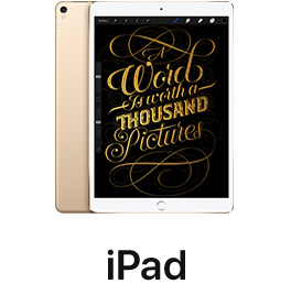 iPad