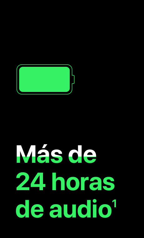 Más de 24 horas de audio(1)