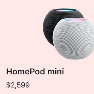 HomePod mini $2,599