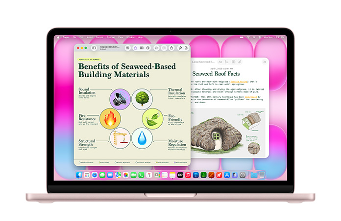 MacBook Neo พร้อมแอป Pages และโน้ตที่เปิดอยู่เพื่อแสดงงานนำเสนอเกี่ยวกับหลังสาหร่ายทะเล เน้นย้ำถึงประสิทธิภาพ